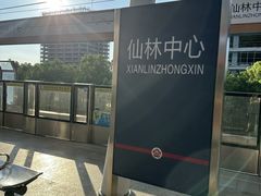 -仙林中心(地铁站)