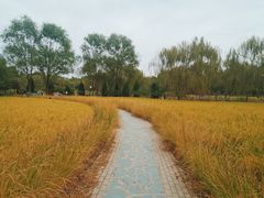 -北坞公园