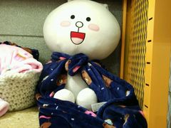-line friends(明洞旗舰店)