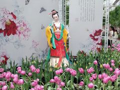 -百万葵园