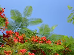 -三亚南山文化旅游区