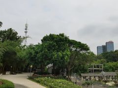-清湖文化公园