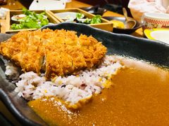 -胜博殿日式炸猪排(悠唐店)