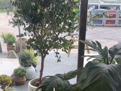 -喜茶(珠海华发商都店)