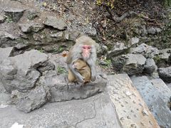 -黔灵山公园-南门售票处