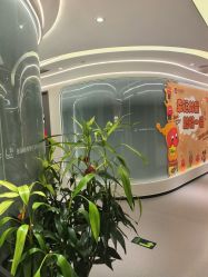 -联合丽格·张菡丽格医疗美容