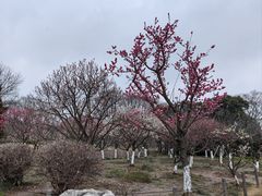 -上海植物园-4号门售票处