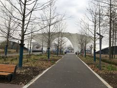 -东平国家森林公园