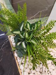 -铂诗玥医美