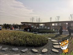 -夏河溪乡野公园
