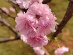 -恒大世纪梦幻城