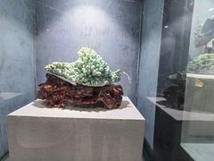 -河南自然博物馆