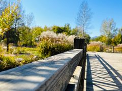 -野鸭湖国家湿地公园