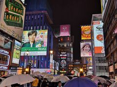 -蟹道乐(道顿堀本店)