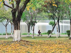 -飞来湖湿地公园