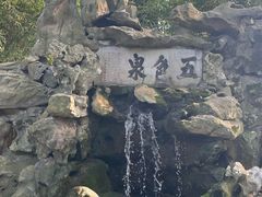 -上海醉白池公园