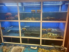 -金龙·打边炉(南京西路店)