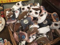 -猫咪博物馆(顶澳仔猫街店)