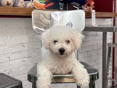 -Eckl’s爱氏热狗(猫街店)