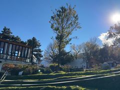 -云禾壹海景庄园餐厅