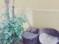 -新竹里馆·花园餐厅(兴苑路店)