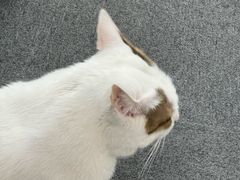 -青沐画室·专业美术培训