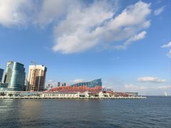 -招商蛇口邮轮母港(观光客运)