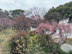 -无锡梅园公园