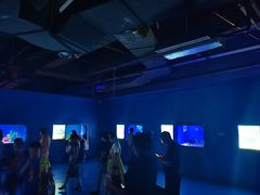 -重庆欢乐海底世界