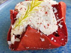 -Hi City·城市之巅