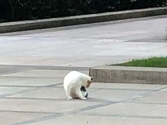 -上海市龙华烈士陵园