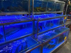 水产区-八仔大富楼·河鲜(西江店)