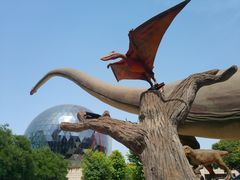 -陕西自然博物馆