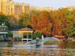 -荔湾湖公园