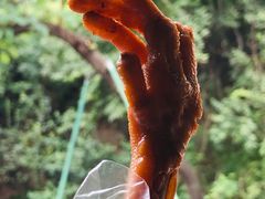 -三毛烤鸡(清泰街店)