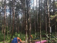 -帽儿山国家森林公园