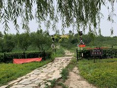 -西青郊野公园