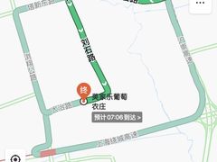 -美家乐农庄·露营·团建(大治路店)
