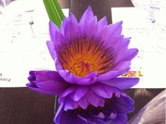 -圣丰索菲特·2 On 988 Café 自助餐厅