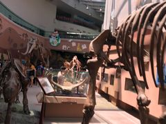 -陕西自然博物馆