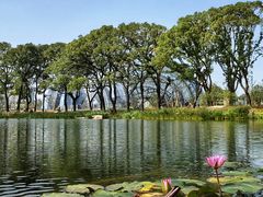 -上海植物园-4号门售票处