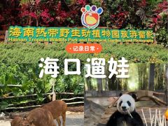-海南热带野生动植物园