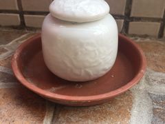 -彩虹桥宠物火化殡葬善终服务(金乐大厦店)