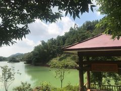 -广州白江湖森林公园