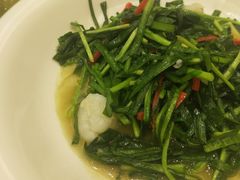 -苏启渔港(云南北路店)