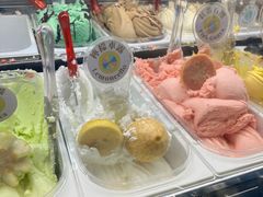 -柠檬车露(卖草地店)