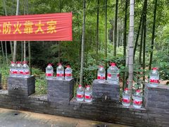 -龙坞茶村