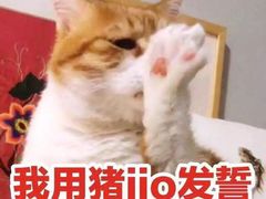 -燕喜堂·中华老字号(大明湖店)