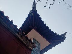 -抚仙湖禄充风景区
