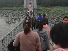 -东湖落雁景区